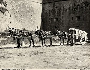 European Farm Life Prints: A man opposite to a waggon pull by mules