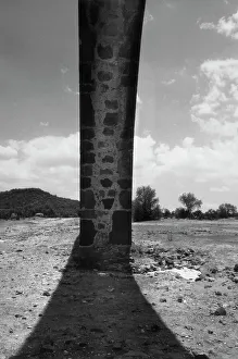 Historic Building Elements Prints: Masonry arch