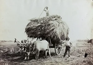 Peasant Farming Practices Prints: Two men with a wagon load of hay