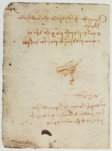 Framed Print : Notes on gravitational force and on the fall of bodies, page from the Codex Forster II, c.65v, by Leonardo da Vinci, housed in the Victoria and Albert Museum, London Framed Print : Notes on gravitational force and on the fall of bodies, page from the Codex Forster II, c.65v, by Leonardo da Vinci, housed in the Victoria and Albert Museum, London