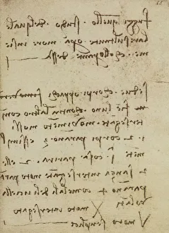 Renaissance Artist Leonardo Da Vinci Prints: Notes on motion and light, writings from the Codex Forster III