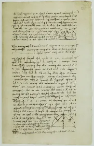 British Museum Manuscripts Prints: Notes on proportion, written by Leonardo da Vinci