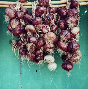 Onions