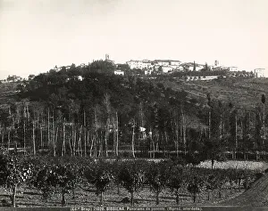 Panoramic View Of Italy Prints: Panoramic view of Bibbiena