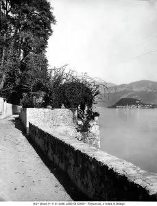 Mountainous Lake Scenery Prints: Panoramic view of Lake Como