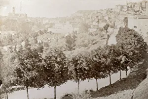 Panoramic view of Perugia, in the foreground, some trees run along the edge of a street