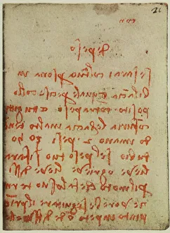 High Renaissance Artwork Prints: Physics observations, writings from the Codex Forster II