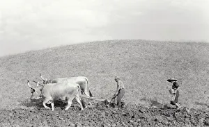 Ploughing