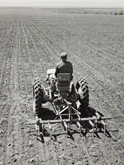 Farming Landscape Prints: Plowing a field with the tractor