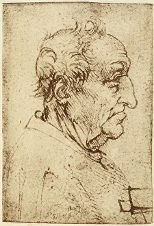 High Renaissance Style Prints: Profile of an elderly man