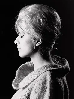 Profile of a model