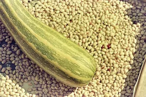 Pumpkin and beans