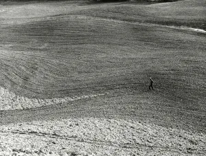 Red soil