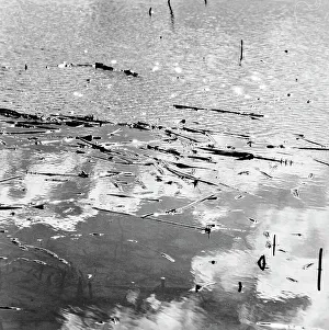 Lake Reflections Prints: Reflections of light on a lake