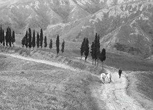 Returning from the fields