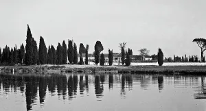 Landscape Of River Courses Italy Prints: River landscape