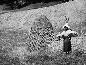 Italian Farmland Scenery Prints: Scarecrow and sheaf