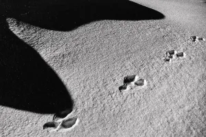 Atmospheric Winter Landscapes Prints: Shadow on the snow