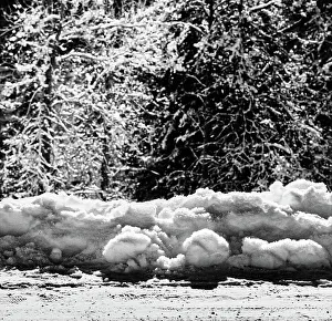 Cold Weather Photography Prints: Snow in the sun