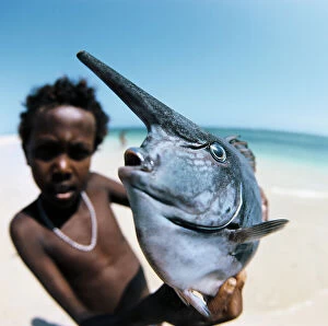 Related Images Collection: A somalian child shows a fish Naso brevirostris ended up in the fishing nets in front of the coast