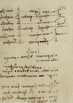 Renaissance Baroque Styles Period Prints: Study on architecture, writings from the Codex Forster III