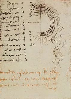 Renaissance Artist Leonardo Da Vinci Prints: Study on the composition of the cutis