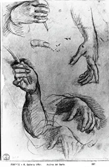 Study of different hand positions. Drawing by Andrea del Sarto, in the Gabinetto dei Disegni e delle Stampe, at the Uffizi Gallery in Florence