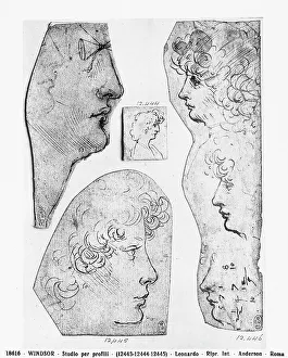 European Renaissance Baroque Style Prints: Study of different profiles. Drawing by Leonardo, in Windsor Castle, near London