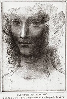 Leonardo Da Vinci Drawing Prints: Study of a face. Drawing attributed to Leonardo da Vinci or his circle