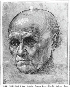 Study of the face of a man. Drawing attributed to Leonardo, in the Department of Prints and Drawings at the Louvre Museum in Paris