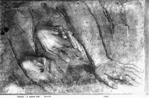 Study of hands shown in various angles and poses. Drawing by Federico Barocci preserved in the Room of Drawings and Prints in the Gallery of the Uffizi