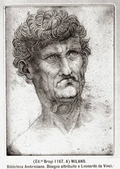 Leonardo Da Vinci Study Prints: Study for a man's head. Drawing attributed to Leonardo da Vinci