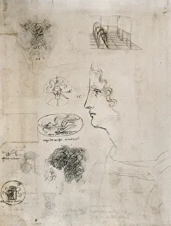 Renaissance Baroque Period Art Prints: Study for a man's profile, a shield with two dragons