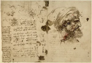 High Renaissance Portraits Prints: Study of the profile of the head of a bearded man