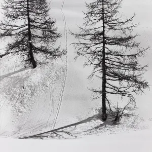 Engadine Switzerland Prints: Traces, Engadine
