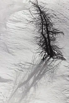 Swiss Mountain Landscapes Prints: Towards Val Fedox
