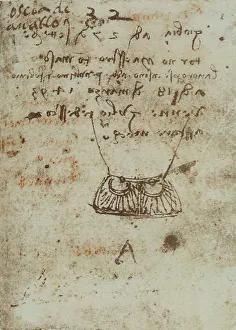 Various notes and sketches, page from the Codex Forster III, c.88v, by Leonardo da Vinci, housed in the Victoria and Albert Museum, London
