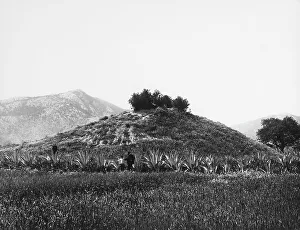 Vintage Mountain Scenery Prints: Vegetation around Eleusis