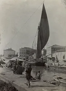 View of Capodistria