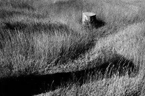 Field Landscape Photography Prints: View of a field