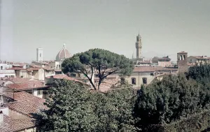 View of Florence
