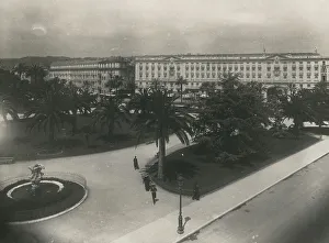 Palm Tree Landscapes Prints: View of the gardens of Nice