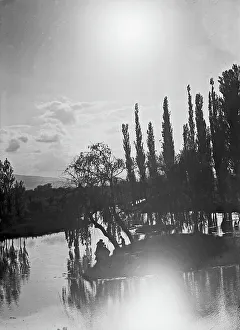 Willow Tree Photography Prints: View of the sources of Clitunno