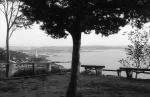 View of Trieste