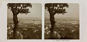View of Trieste. Stereoscopic image