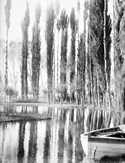 Willow Tree Photography Prints: Views of the Sources of Clitunno