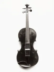 Music Instrument Images Prints: Violin