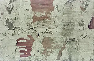 Italian Building Elements Prints: Wall of a house