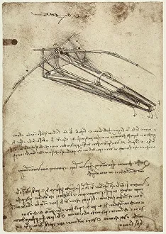 European Renaissance Art History Prints: Wing structure support, drawing by Leonardo da Vinci