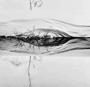 Winter landscape